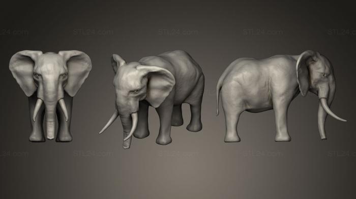 Animal figurines (African Elephant, STKJ_0143) 3D models for cnc